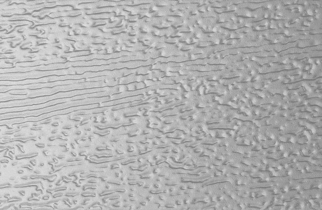panels-woodgrain